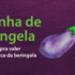 Emagrecer com farinha de beringela