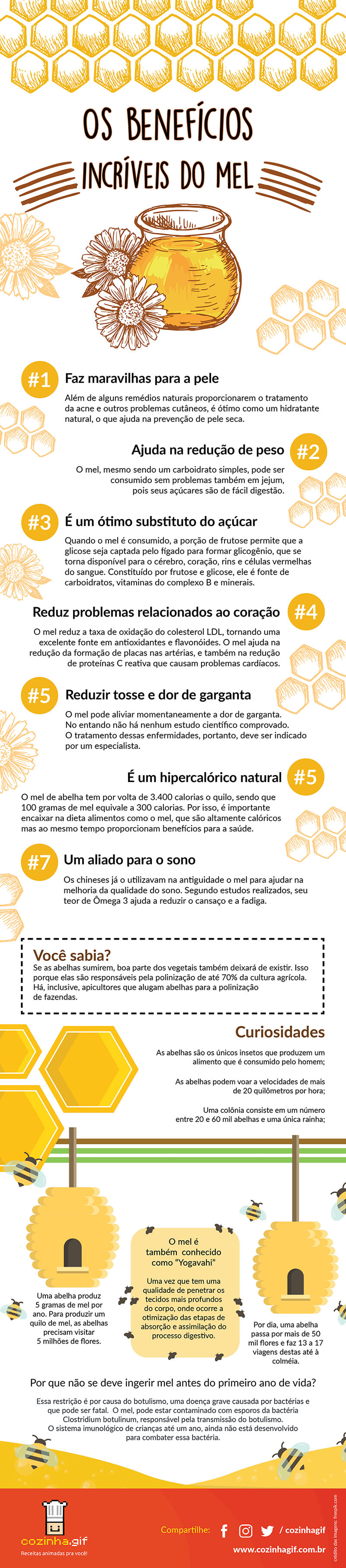 infografico-beneficios-do-mel-para-a-saude